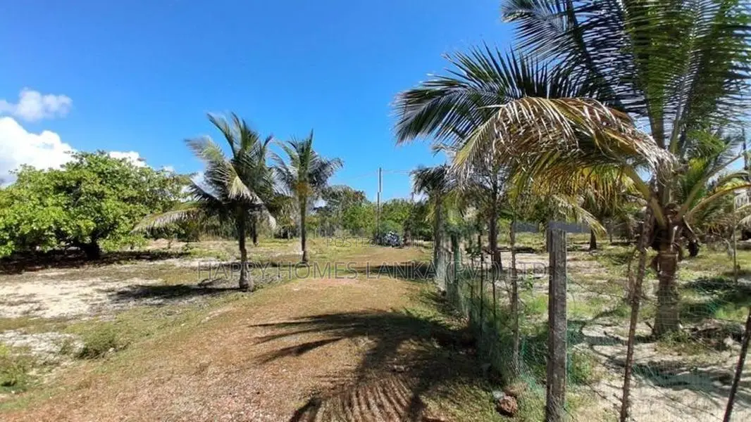HHL1134 - Land for Sale in Koralankerny