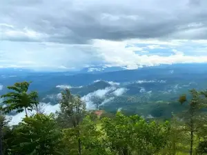 Land for Sale in Haputale