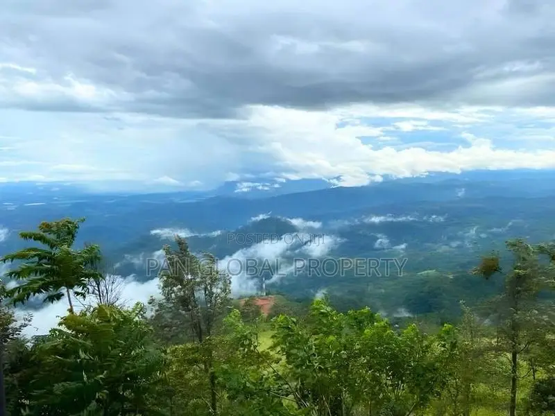 Land for Sale in Haputale