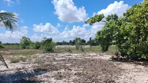 HHL1133 - Land for sale in Koralankerny