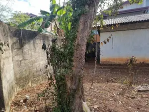 Land for Sale in Gampaha