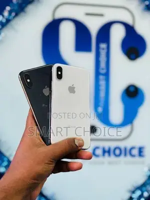 Apple iPhone XS 256GB (Used)