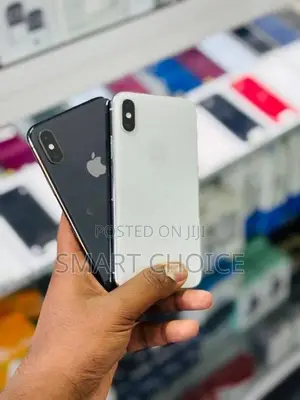 Apple iPhone XS 256GB (Used)