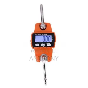 MINI CRANE SCALE DIGITAL [300KG]