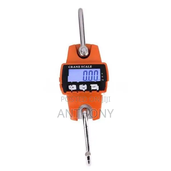 MINI CRANE SCALE DIGITAL [300KG]