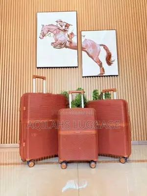 PP LUGGAGE BAGS TROLLEY SETS
