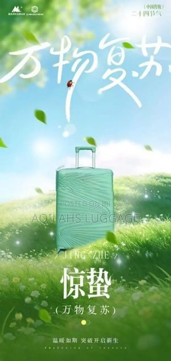 PP LUGGAGE BAGS TROLLEY SETS