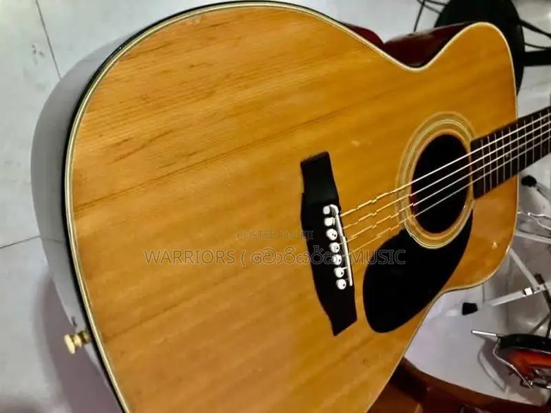 Morris F - 15 Made in Japan Box Guitar