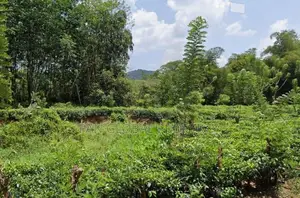 Quarry for Sale in Mathugama