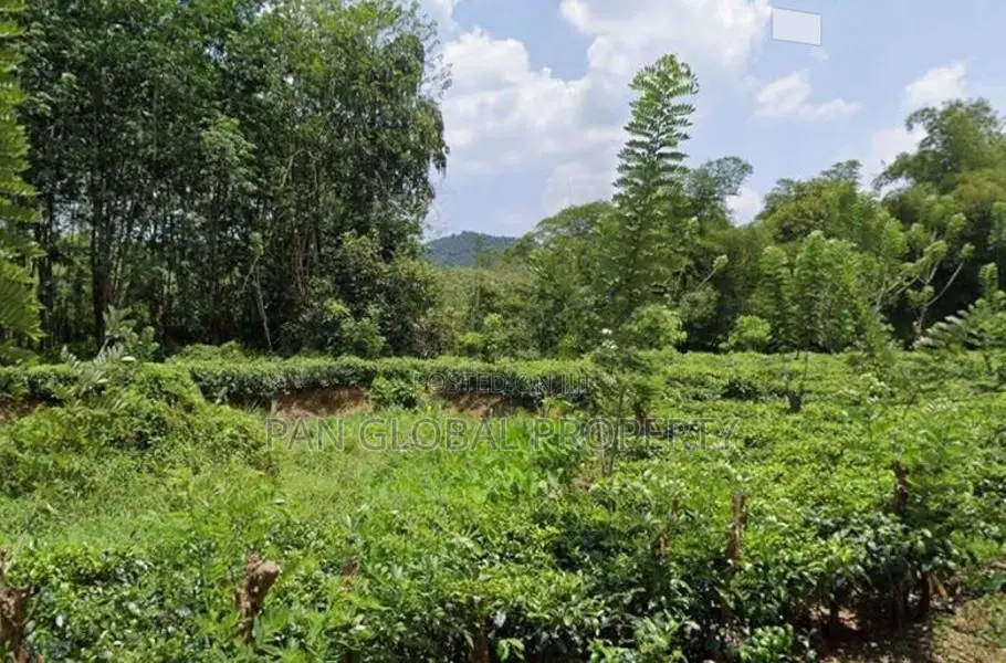 Quarry for Sale in Mathugama
