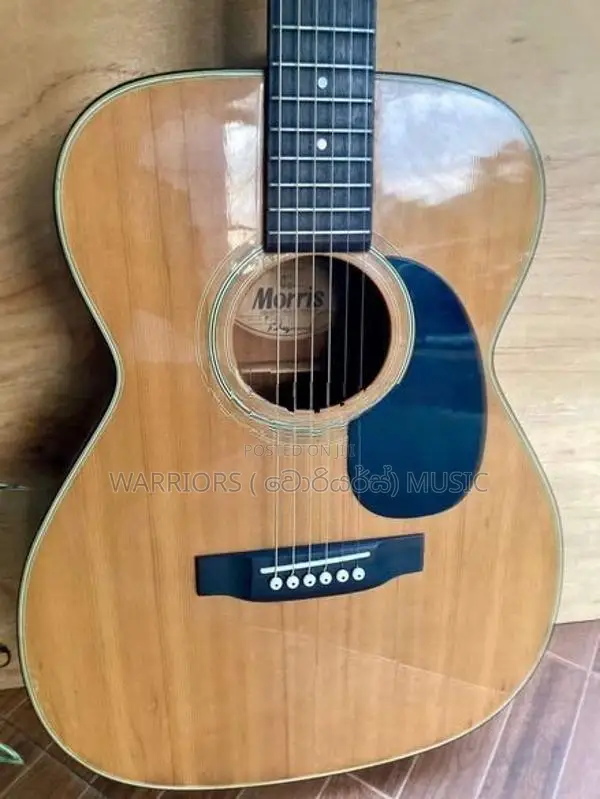 Morris F - 15 Made in Japan Box Guitar