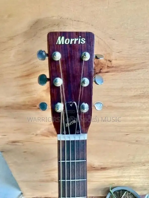 Morris F - 15 Made in Japan Box Guitar