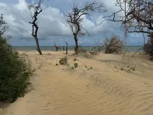 Kalpitiya Dutch Bay 175 Perches Beach Land for Sale