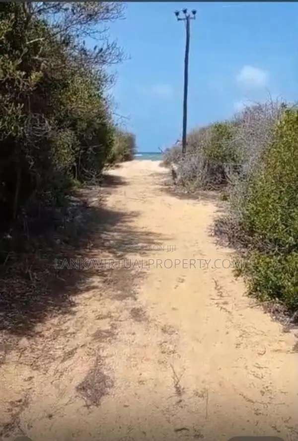 Kalpitiya Dutch Bay 175 Perches Beach Land for Sale