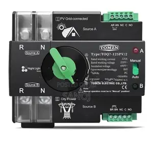 Tomzn 63A 2 Pole Single Phase Automatic Transfer Switch Solar Ats