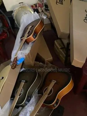Brand new TEQ box guitats 41"