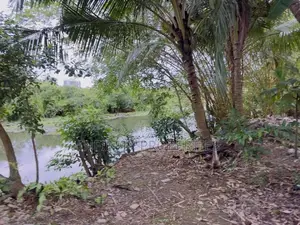 (AF742) Water Front 20.2 P LAND SALE AT Nawala