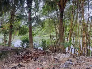 (AF742) Water Front 20.2 P LAND SALE AT Nawala