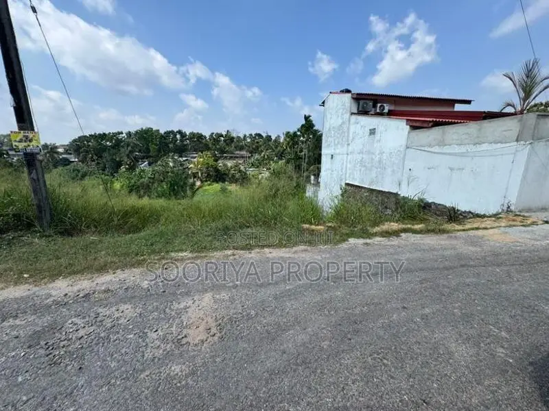 Beautiful Paddy Facing Land for Sale in Piliyandala