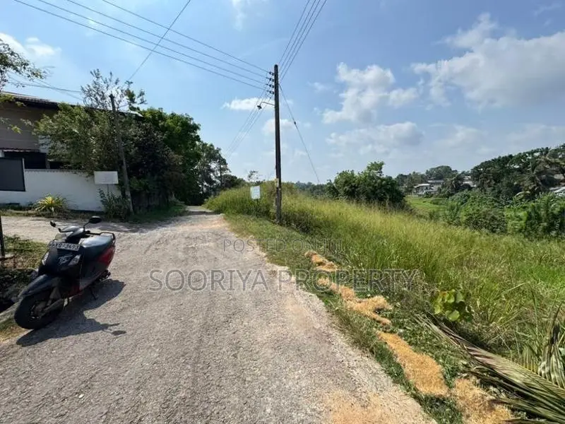 Beautiful Paddy Facing Land for Sale in Piliyandala