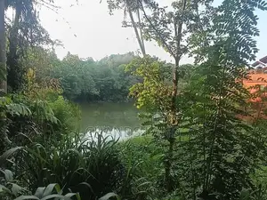 Land for Sale Kandy