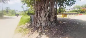 (AF757) 41 P Bare Land Sale At Thalawathugoda