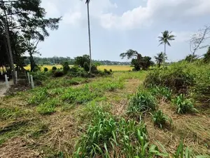 53.50P Bare Land For Sale In Malabe