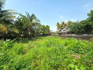 12.25P Bare Land For Sale In Thalahena, Koswatta