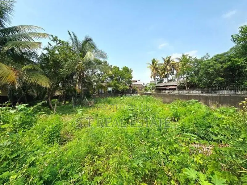 12.25P Bare Land For Sale In Thalahena, Koswatta