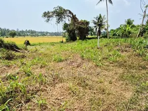 53.50P Bare Land For Sale In Malabe