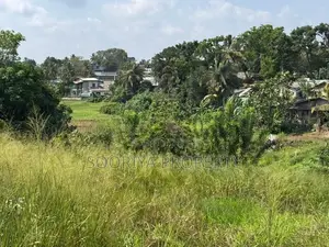 Beautiful Paddy Facing Land for Sale in Piliyandala