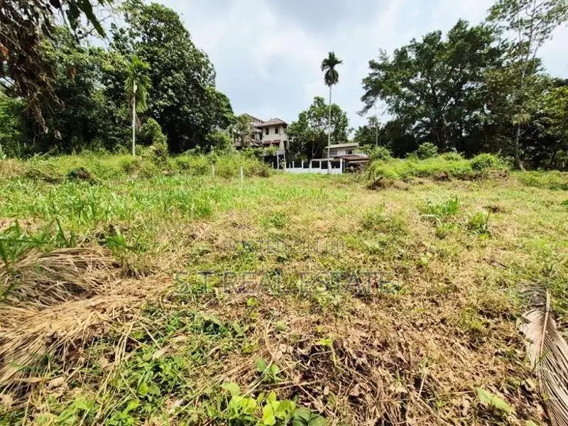 53.50P Bare Land For Sale In Malabe