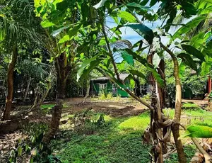 (SDS-326)Valuable Bare Land with Single Storey House Sale in Maharagam
