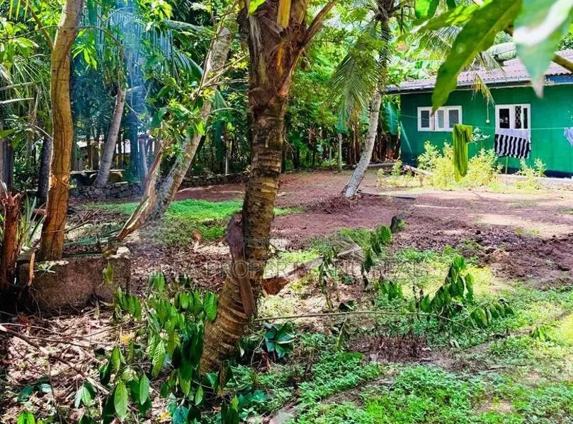 (SDS-326)Valuable Bare Land with Single Storey House Sale in Maharagam