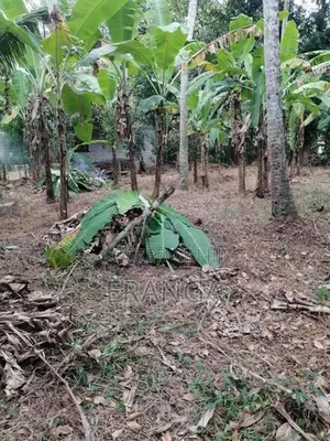 Land Sale - Polgahawela