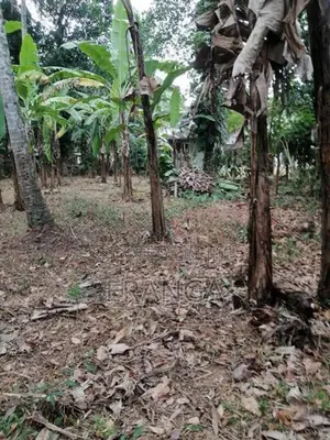 Land Sale - Polgahawela