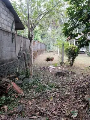Land Sale - Polgahawela