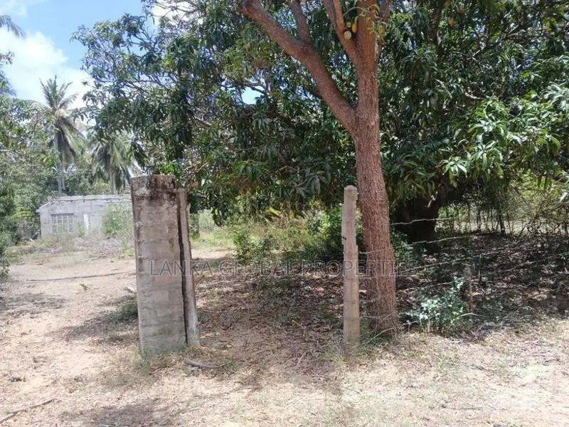 Land for Sale Mirusuvil