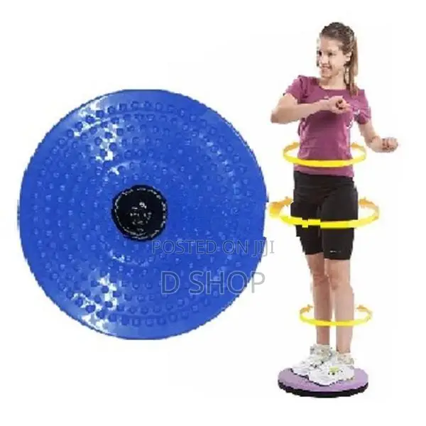 Waist Twisting Exerciser DISC - Home GYM DICS