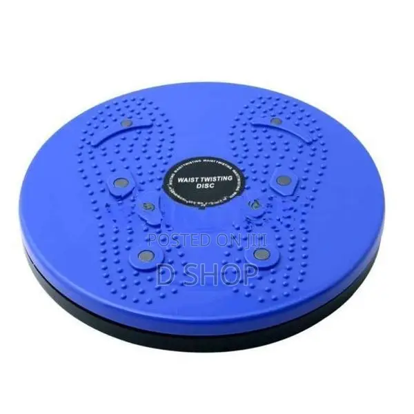Waist Twisting Exerciser DISC - Home GYM DICS