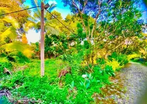 Malabe : 30 perches Land for Sale at Akuregoda