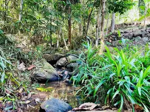 අඩක් නිම කල විලා එකක්