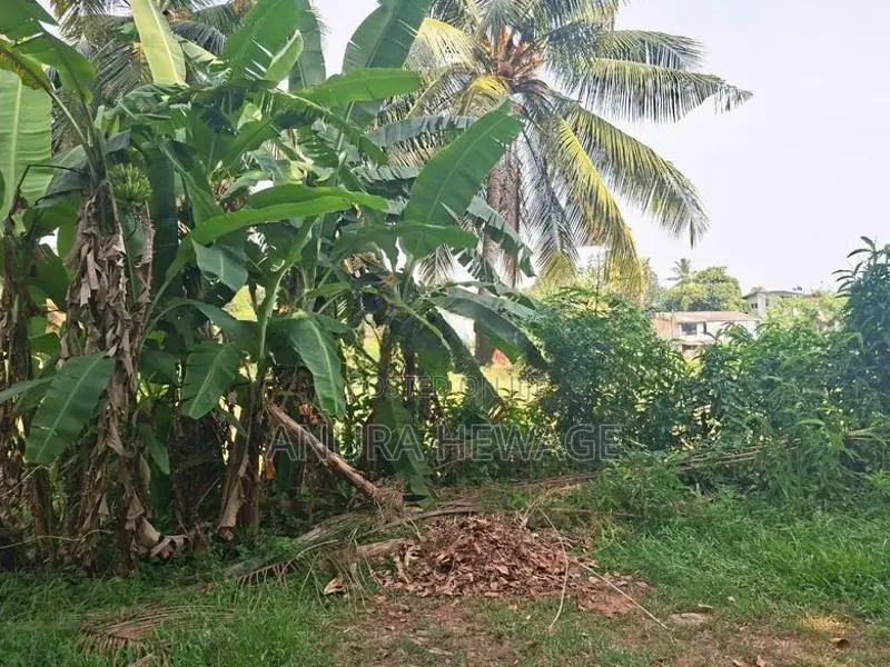 Land for Sale Hokandara facing paddy field. (ID : HKND009)