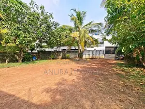 අකුරේගොඩ, පැලවත්ත ප්‍රදේශයේ පිහිටි ඉඩමක් විකිණීමට ඇත. (ID: AKRG001S)