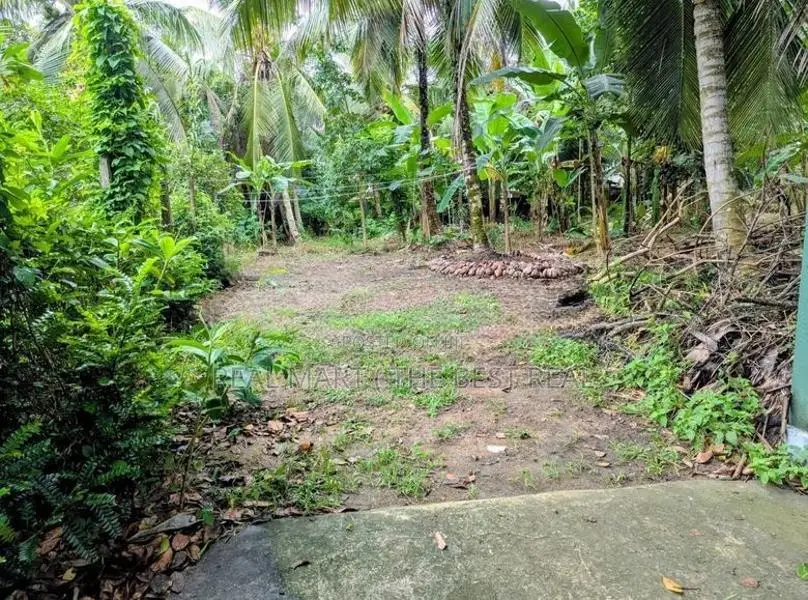Pannipitiya : 47 Perches Land for Sale at Polwatta