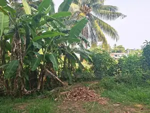 හෝකන්දර, කුඹුරු යායට මුහුණලා පිහිටි ඉඩමක් විකිණීමට ඇත. (ID: HKND009S)