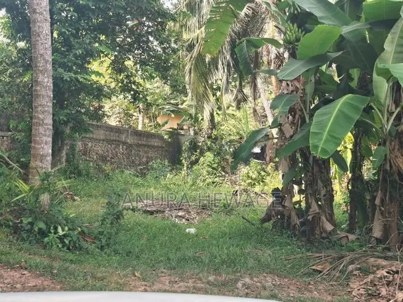 Land for Sale Hokandara facing paddy field. (ID : HKND009)
