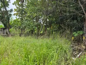 41 Perches Land Sale in Dehiwala Pepiliyana