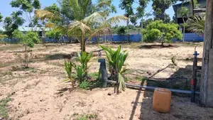 HHL1135 - Land for sale in Mylambaveli