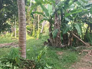 හෝකන්දර, කුඹුරු යායට මුහුණලා පිහිටි ඉඩමක් විකිණීමට ඇත. (ID: HKND009S)